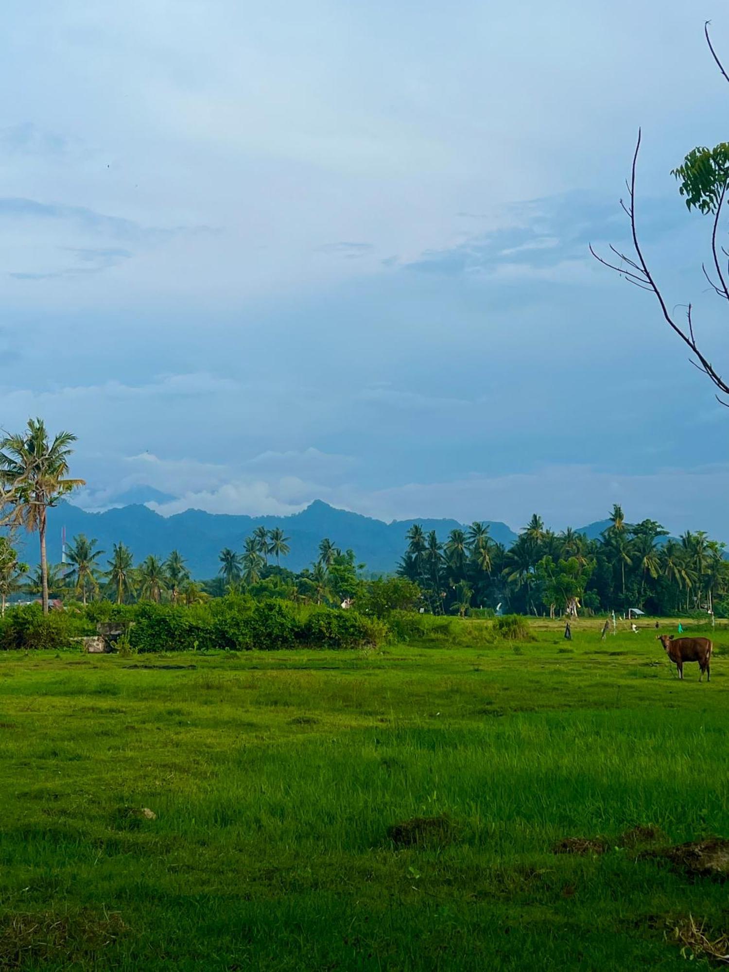 Rinjani Beach Eco Resort Tanjung  Extérieur photo