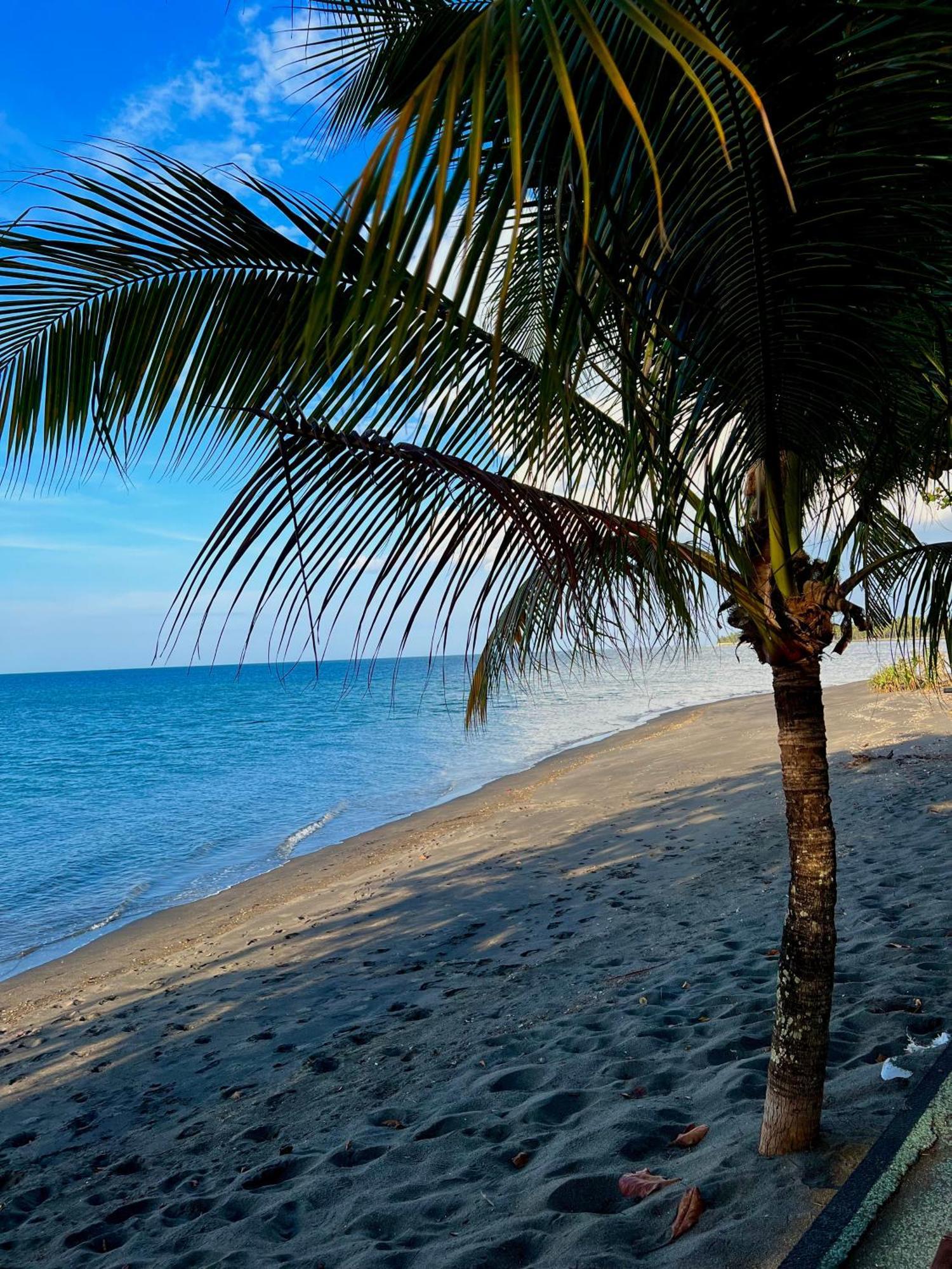 Rinjani Beach Eco Resort Tanjung  Extérieur photo